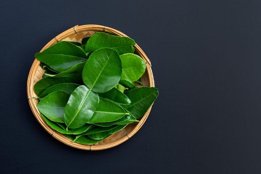 Bergamot kaffir lime leaves herb fresh ingredient on dark background.