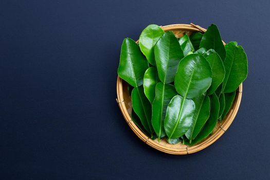 Bergamot kaffir lime leaves herb fresh ingredient on dark background.