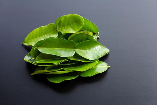 Bergamot kaffir lime leaves herb fresh ingredient on dark background.