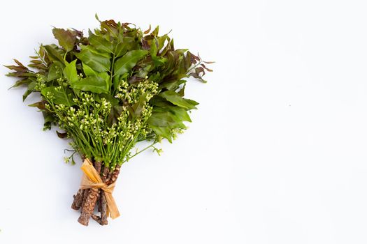 Neem leaves and flowers on wihte background.