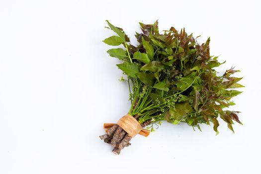 Neem leaves and flowers on wihte background.