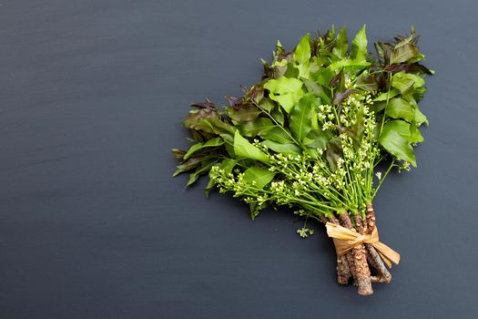 Neem leaves and flowers on dark background.