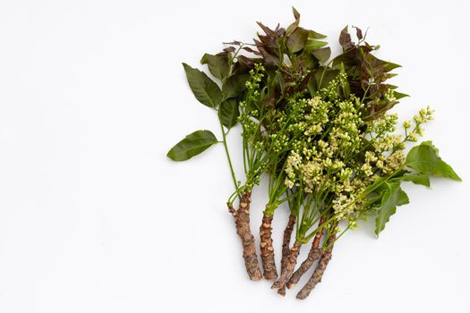 Neem leaves and flowers on wihte background.