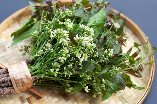 Neem leaves and flowers on dark background.