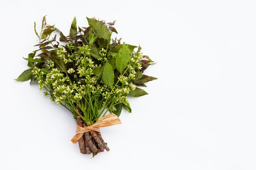 Neem leaves and flowers on wihte background.