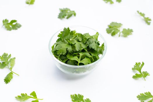 Coriander leaves on white background.