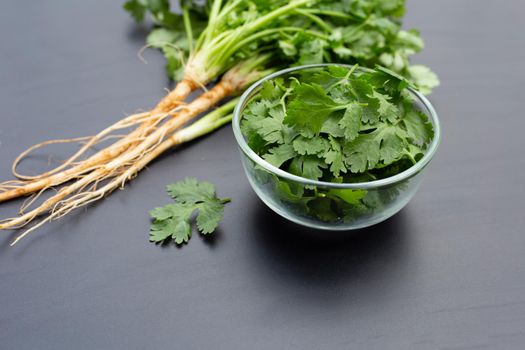 Coriander leaves and root on dark background.