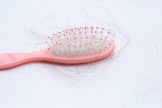 Hairs loss fall in combs on white background.
