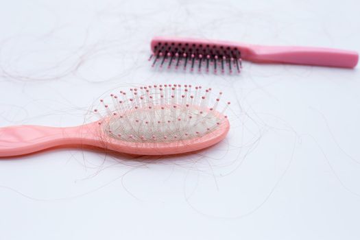 Hairs loss fall in combs on white background.