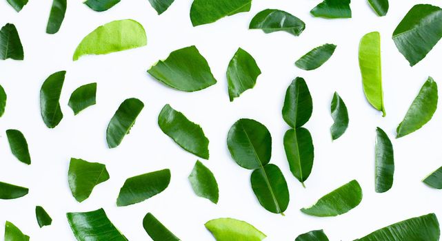 Bergamot kaffir lime leaves herb fresh ingredient isolated on white background.