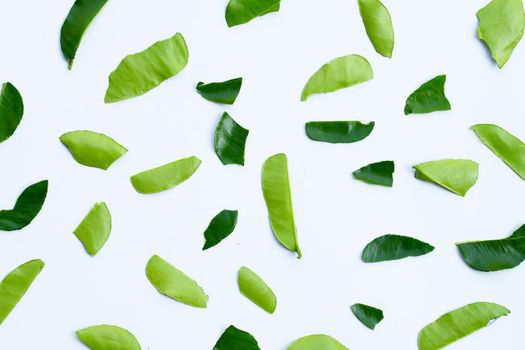 Bergamot kaffir lime leaves herb fresh ingredient isolated on white background.