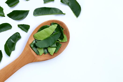 Bergamot kaffir lime leaves herb fresh ingredient isolated on white background.