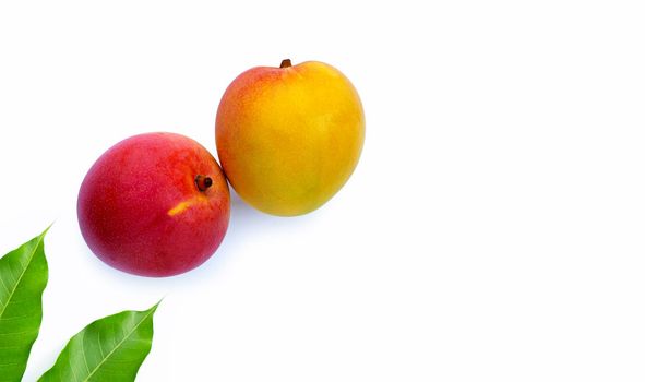 Tropical fruit, Mango  on white background.