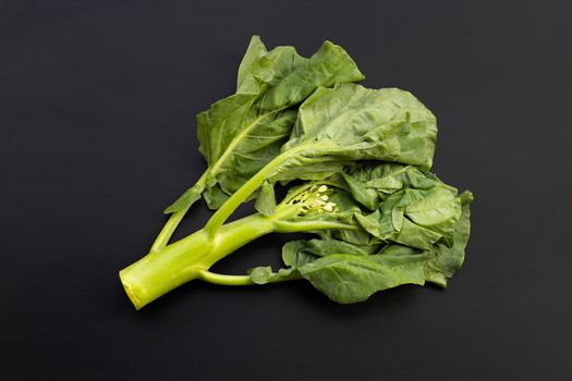 Chinese kale or Kailaan or Hong Kong kale on dark background.