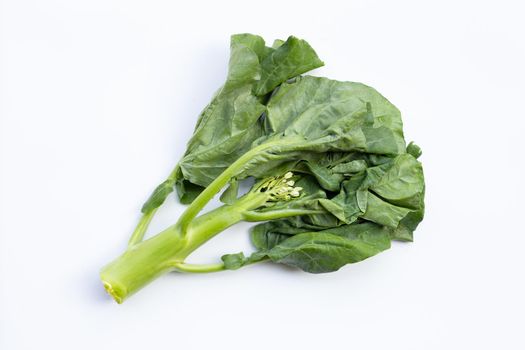 Chinese kale or Kailaan or Hong Kong kale on white background.