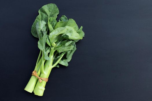 Chinese kale or Kailaan or Hong Kong kale on dark background.