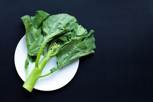 Chinese kale or Kailaan or Hong Kong kale on dark background.