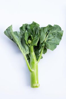 Chinese kale or Kailaan or Hong Kong kale on white background.