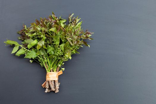 Neem leaves and flowers on dark background.