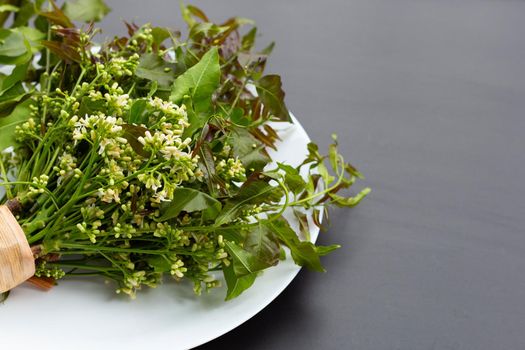 Neem leaves and flowers on dark background.