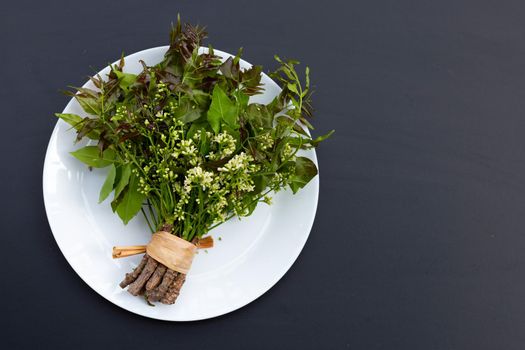 Neem leaves and flowers on dark background.