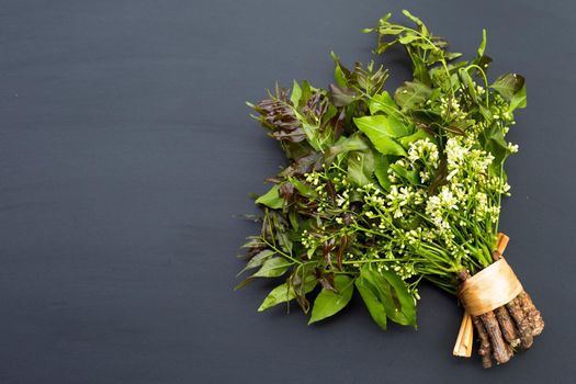 Neem leaves and flowers on dark background.