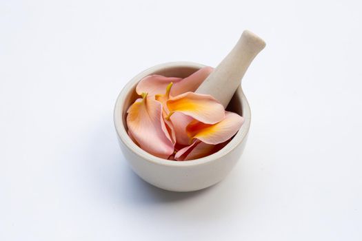 Plumeria or frangipani flower petals in mortar with pestle on white