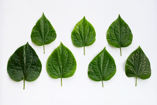 Fresh Wild Betel leaves isolated on white background