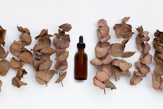 Eucalyptus dry leaves with essential oil bottle on white background.