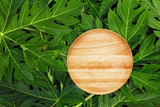 Empty wooden plate on papaya leaves background.