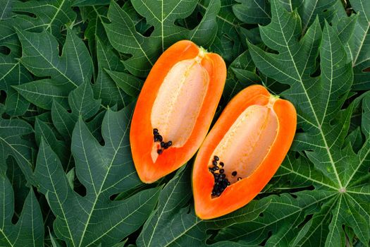Papaya fruit on green leaves background.