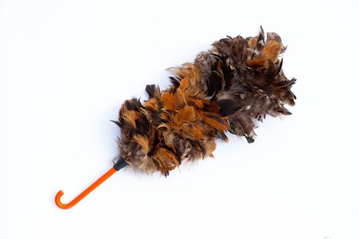 Feather duster isolated on white background.