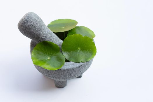 Fresh green centella asiatica leaves or water pennywort  plant in mortar with pestle on white background.