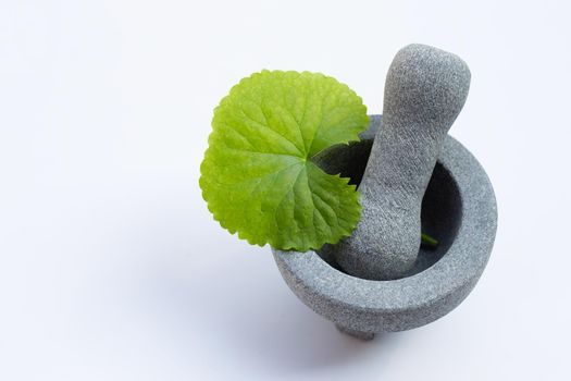 Fresh leaf of gotu kola in mortar with pestle on white background.