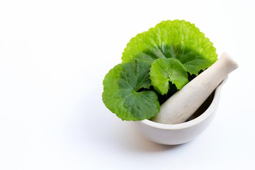 Fresh leaves of gotu kola in mortar with pestle on white background.