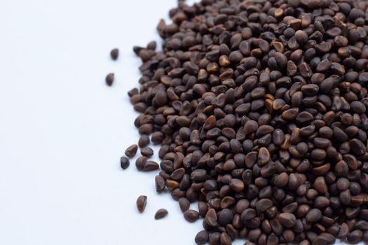 Black seed of morning glory