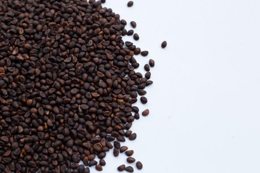 Black seed of morning glory