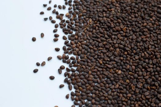 Black seed of morning glory