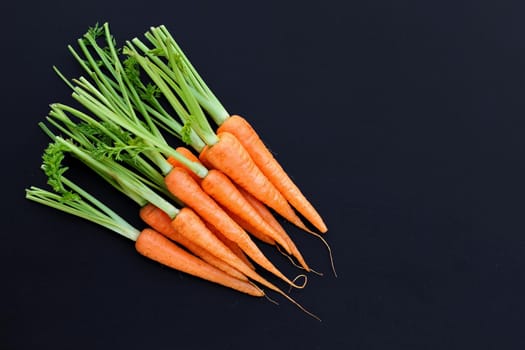 Fresh carrots on dark background.