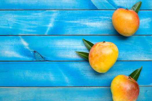 Tropical fruit, Mango on blue wooden background. Top view