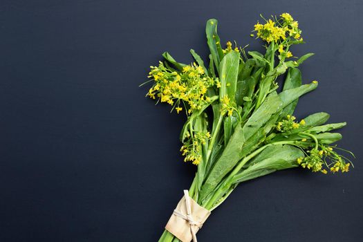 Organic choy sum on dark background.