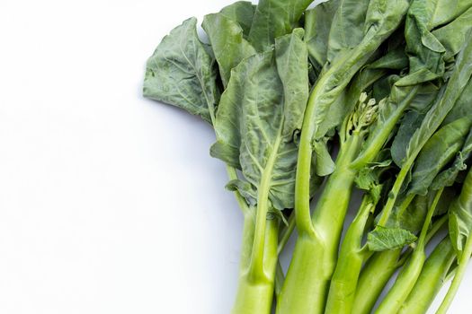 Chinese kale or Kailaan or Hong Kong kale on white background.