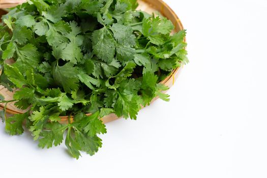 Fresh coriander on white background.
