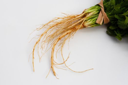 Fresh coriander root on white background.