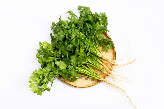 Fresh coriander on white background.
