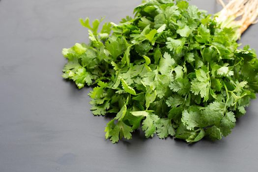 Fresh coriander on dark background.