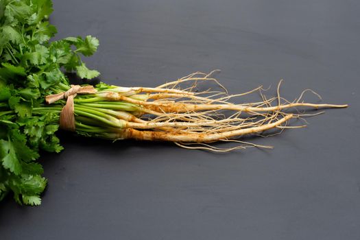 Fresh coriander root on white background.