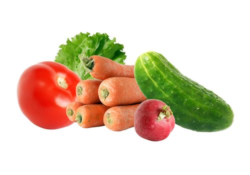 Set of various freshness raw vegetables on white background