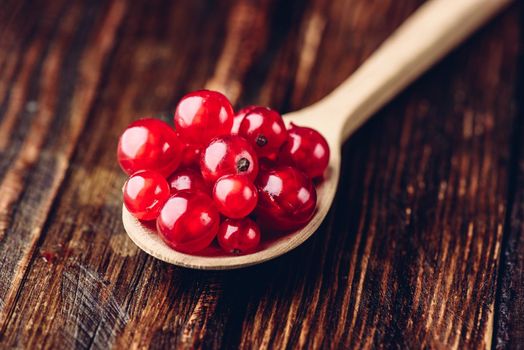 Spoonful of red currant over the dark wooden surface