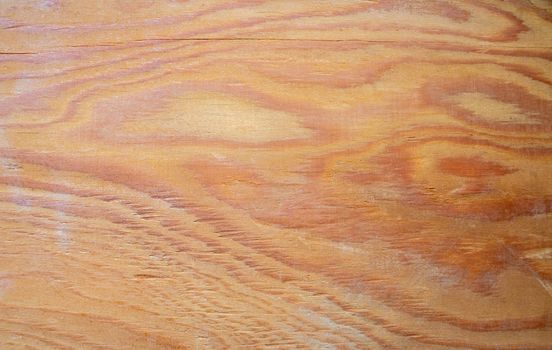 The texture of the wood. background surface with a natural pattern. Space for text.